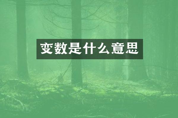 变数是什么意思