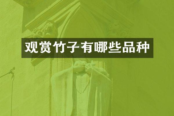 观赏竹子有哪些品种