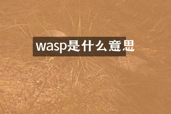 wasp是什么意思