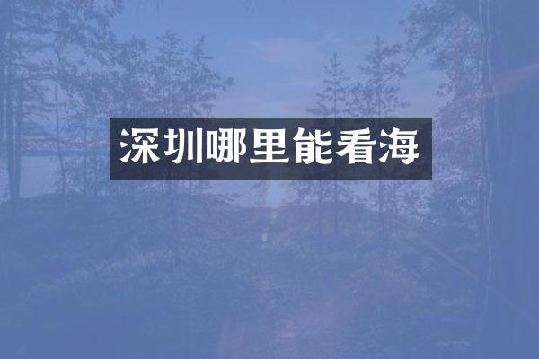 深圳哪里能看海