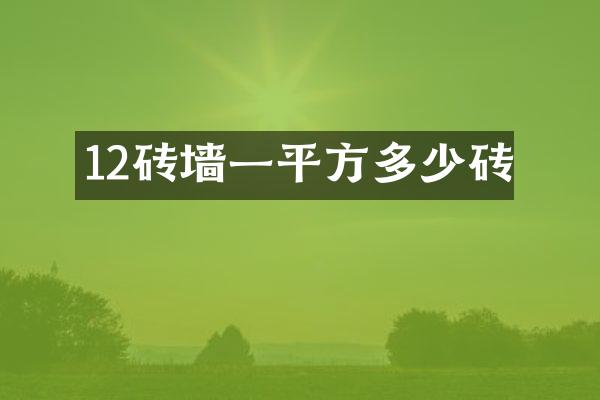 12砖墙一平方多少砖
