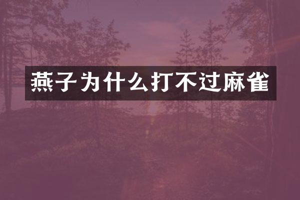 燕子为什么打不过麻雀