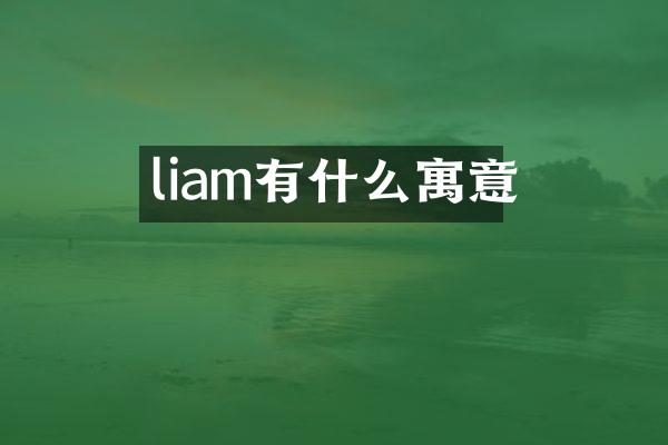 liam有什么寓意