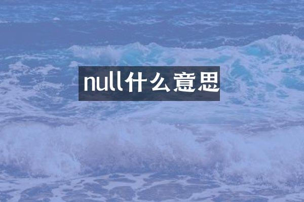 null什么意思