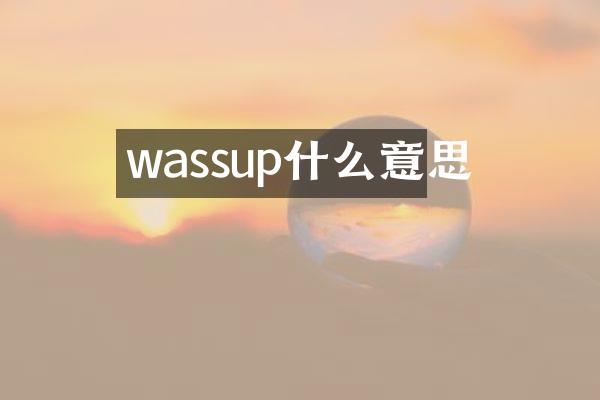 wassup什么意思