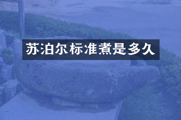 苏泊尔标准煮是多久