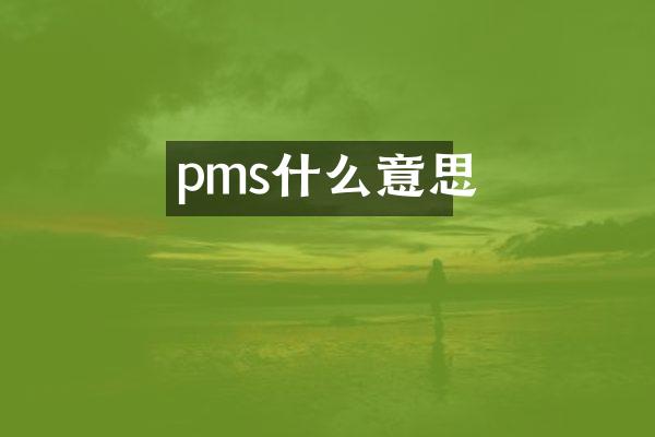 pms什么意思