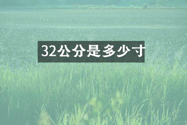 32公分是多少寸