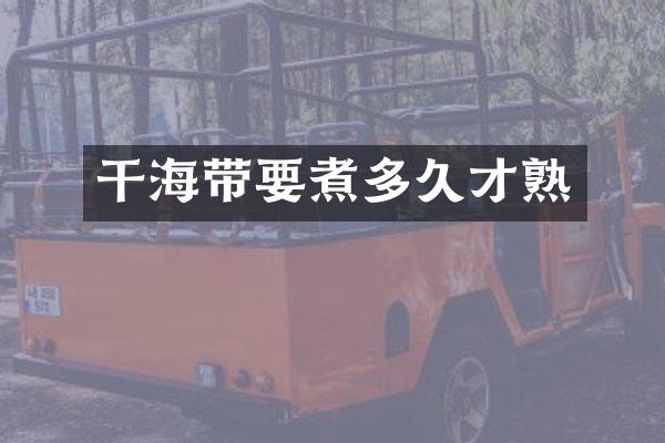 干海带要煮多久才熟