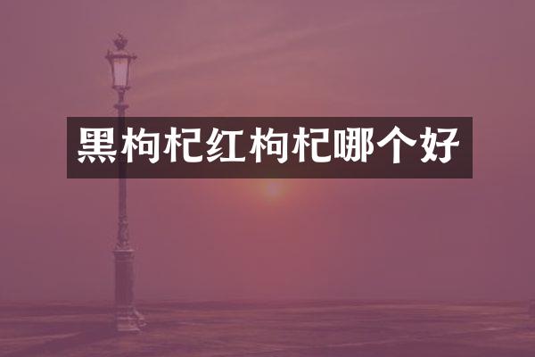 黑枸杞红枸杞哪个好