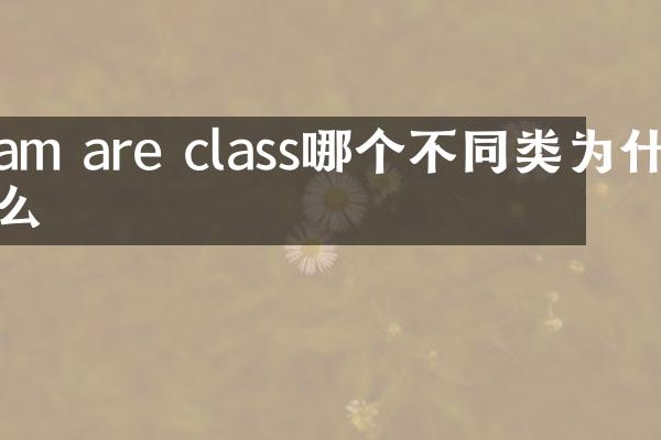 am are class哪个不同类为什么