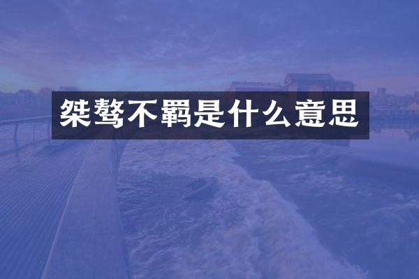 桀骜不羁是什么意思