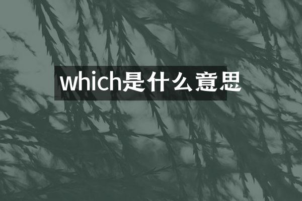 which是什么意思