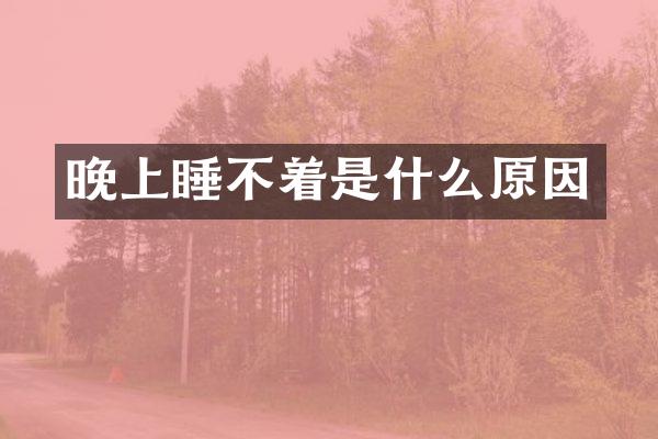 晚上睡不着是什么原因