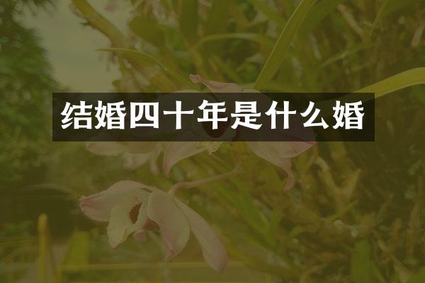 结婚四十年是什么婚