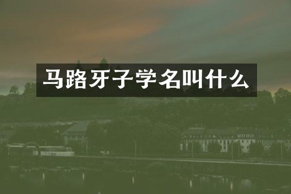 马路牙子学名叫什么