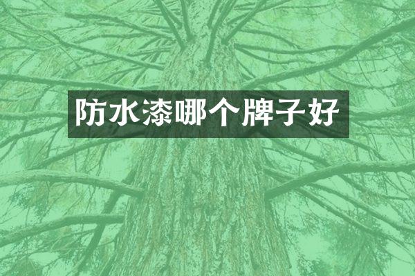 防水漆哪个牌子好