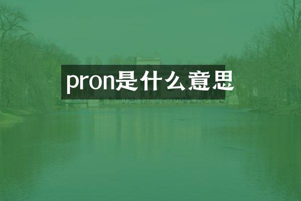pron是什么意思