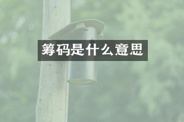 筹码是什么意思