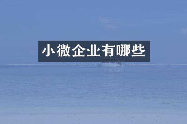 小微企业有哪些