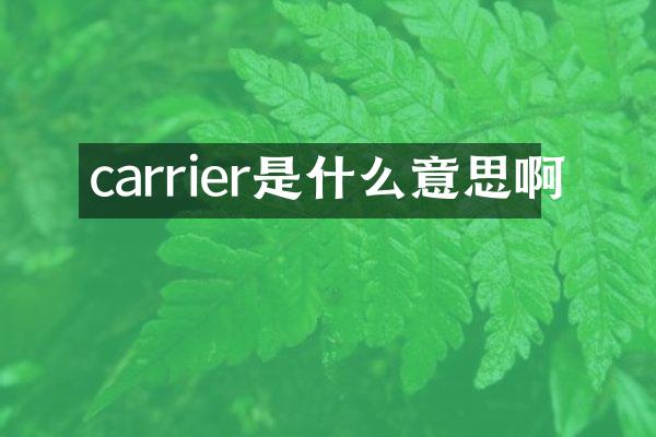 carrier是什么意思啊