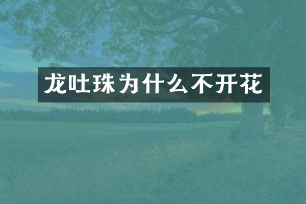 龙吐珠为什么不开花