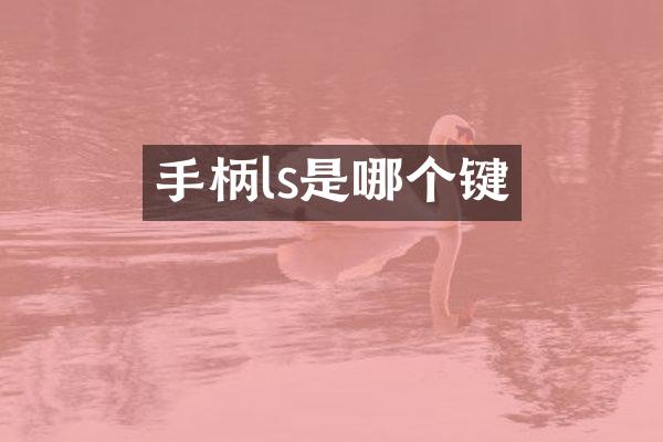 手柄ls是哪个键