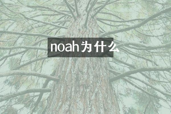 noah为什么