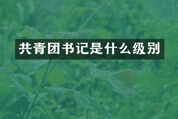 共青团书记是什么级别