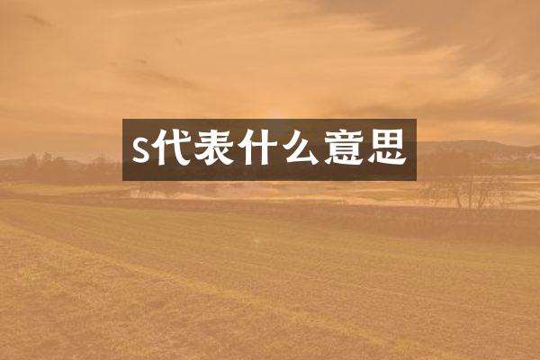 s代表什么意思