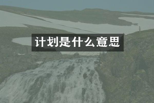 计划是什么意思