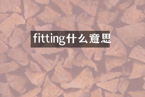 fitting什么意思