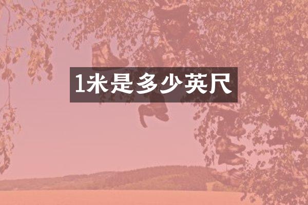 1米是多少英尺