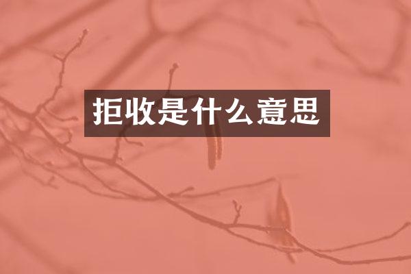 拒收是什么意思