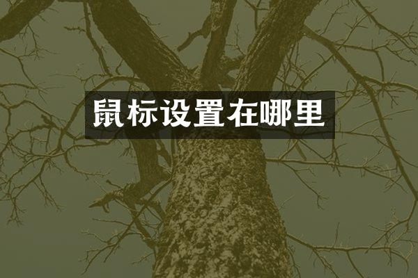 鼠标设置在哪里
