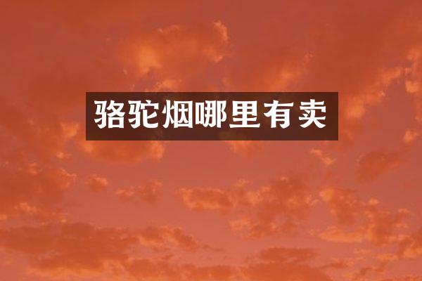 骆驼烟哪里有卖