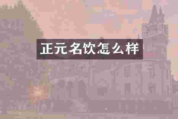 正元名饮怎么样