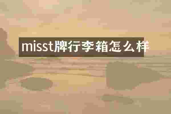 misst牌行李箱怎么样