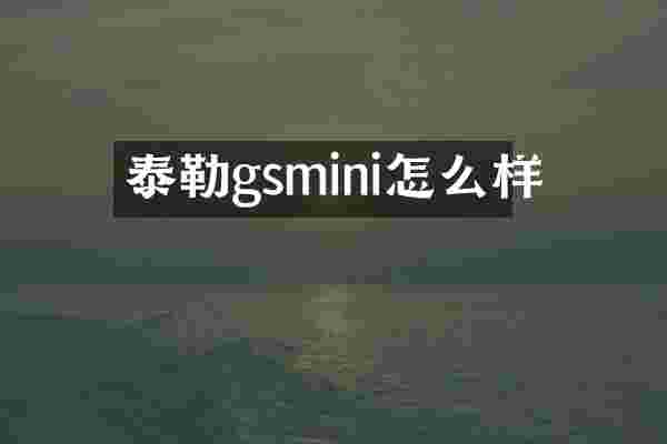 泰勒gsmini怎么样