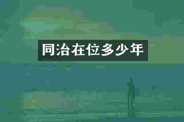 同治在位多少年
