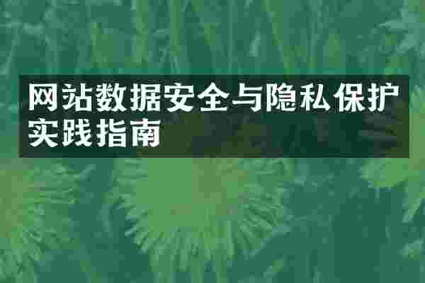 网站数据安全与隐私保护实践指南