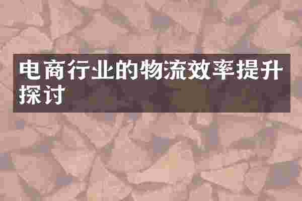 电商行业的物流效率提升探讨