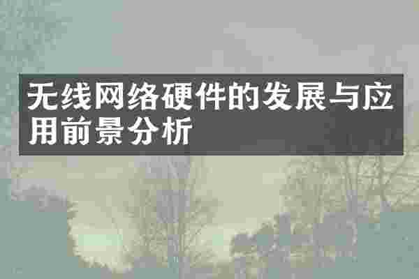无线网络硬件的发展与应用前景分析