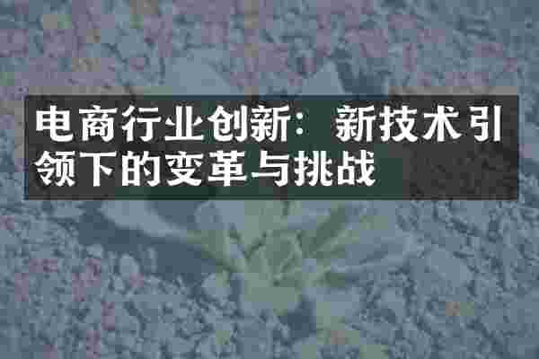 电商行业创新：新技术引领下的变革与挑战