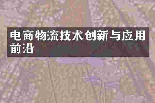 电商物流技术创新与应用前沿