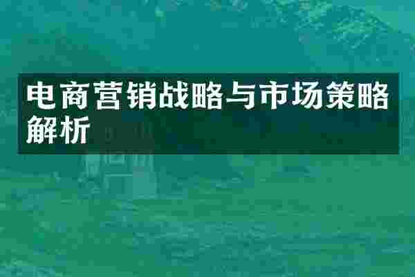 电商营销战略与市场策略解析