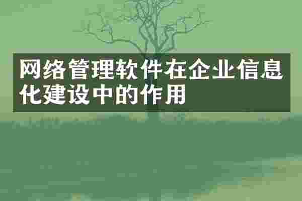 网络管理软件在企业信息化建设中的作用