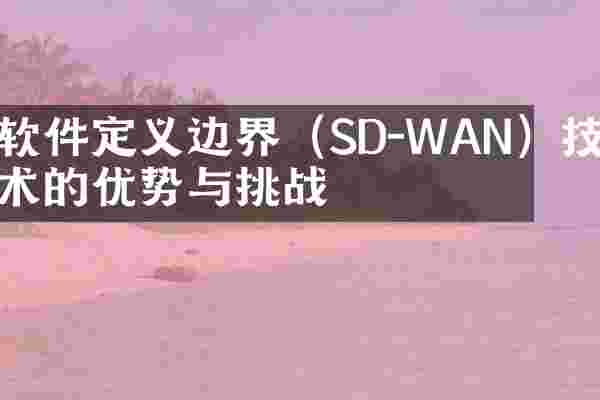 软件定义边界（SD-WAN）技术的优势与挑战