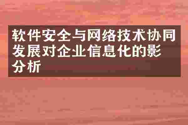 软件安全与网络技术协同发展对企业信息化的影响分析