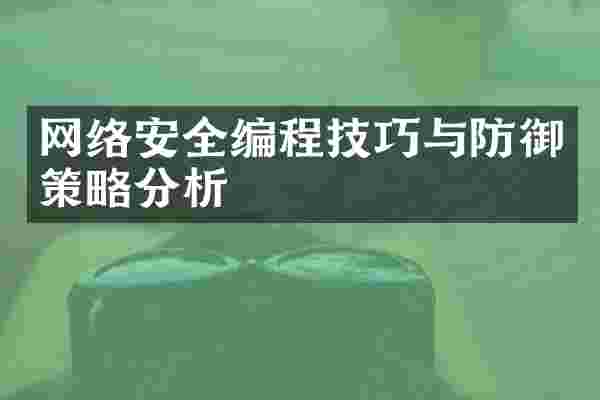 网络安全编程技巧与防御策略分析